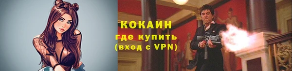 мет Арсеньев
