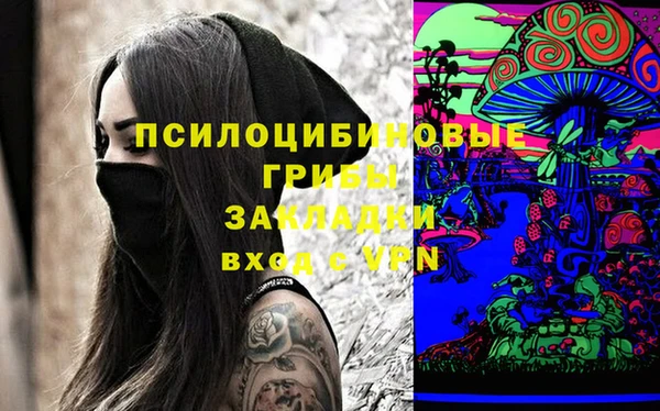 ГАЛЛЮЦИНОГЕННЫЕ ГРИБЫ Семикаракорск