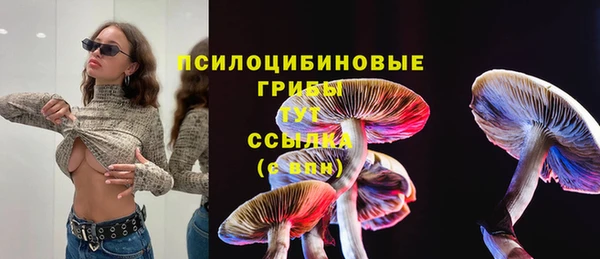 MESCALINE Армянск